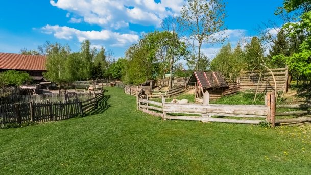 Mini Zoo w Polskiej Wsi - zdjęcie 49