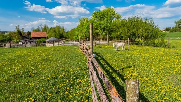 Mini Zoo w Polskiej Wsi - zdjęcie 44