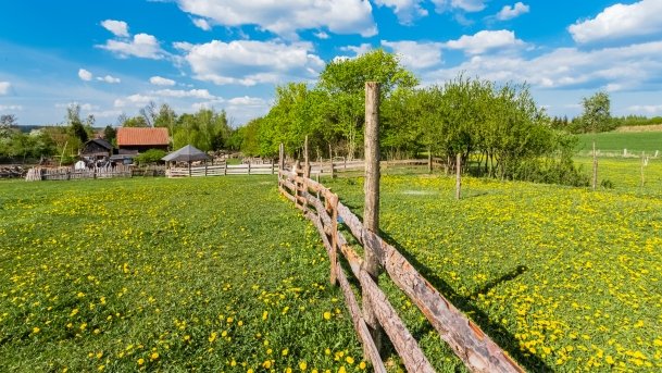 Mini Zoo w Polskiej Wsi - zdjęcie 42