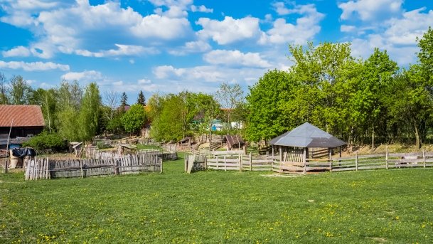 Mini Zoo w Polskiej Wsi - zdjęcie 39