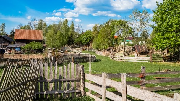 Mini Zoo w Polskiej Wsi - zdjęcie 36