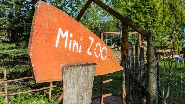 Mini Zoo w Polskiej Wsi - zdjęcie 9