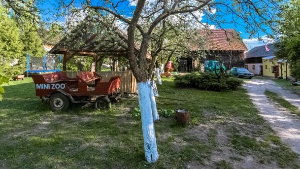 Mini Zoo w Polskiej Wsi - zdjęcie 4