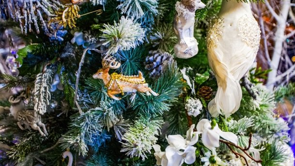 Konsulat Św. Mikołaja - zdjęcie 21