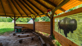 Muzeum Indian w Spytkowie - zdjęcie 22