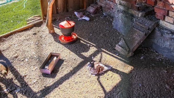 Mini ZOO Małe Ranczo - zdjęcie 7