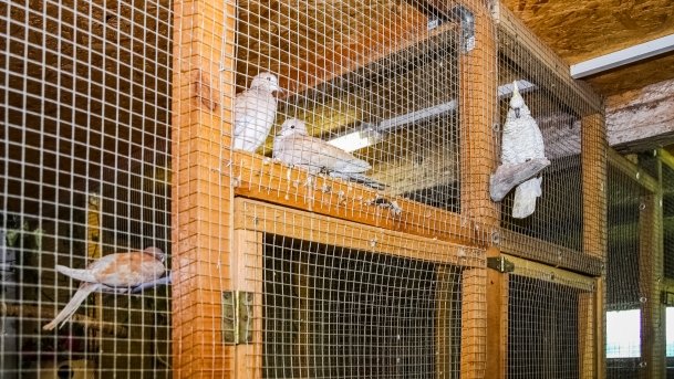 Mini ZOO Małe Ranczo - zdjęcie 1