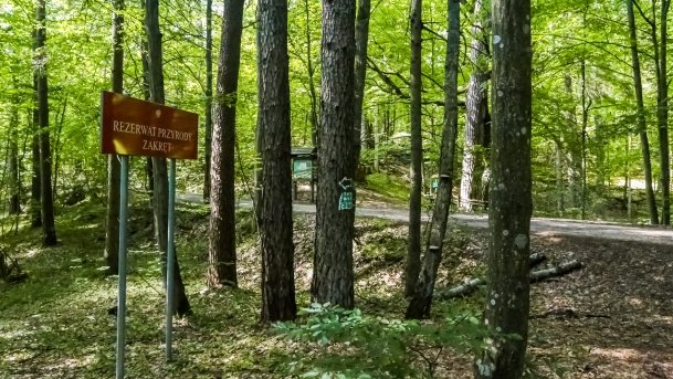 Rezerwat Przyrody Zakręt - zdjęcie 31