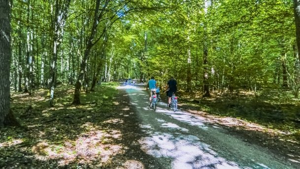 Rezerwat Przyrody Zakręt - zdjęcie 30