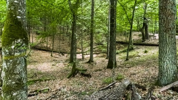 Rezerwat Przyrody Zakręt - zdjęcie 26