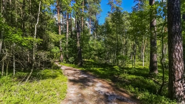 Rezerwat Przyrody Zakręt - zdjęcie 23