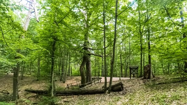 Rezerwat Przyrody Zakręt - zdjęcie 22