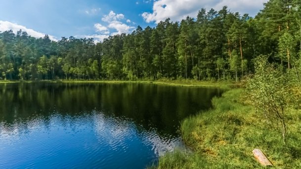 Rezerwat Przyrody Zakręt - zdjęcie 21