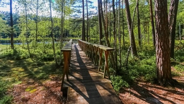 Rezerwat Przyrody Zakręt - zdjęcie 18