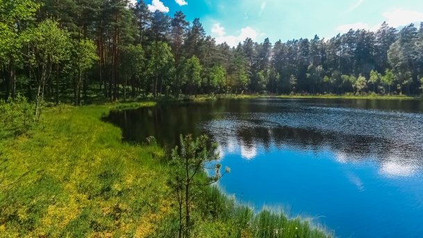 Rezerwat Przyrody Zakręt - zdjęcie 16