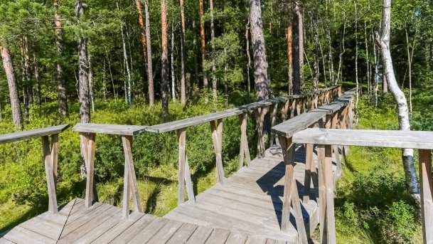 Rezerwat Przyrody Zakręt - zdjęcie 15