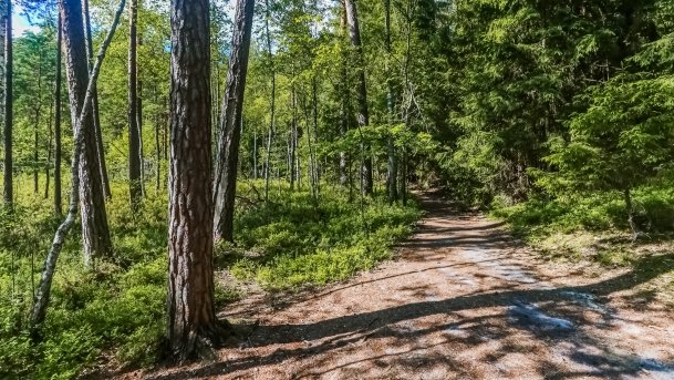 Rezerwat Przyrody Zakręt - zdjęcie 14