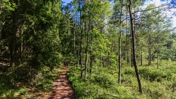 Rezerwat Przyrody Zakręt - zdjęcie 13