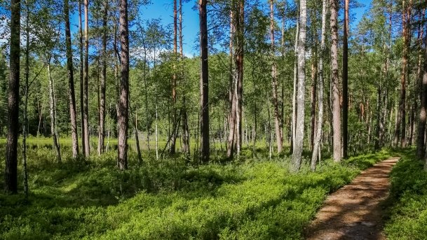 Rezerwat Przyrody Zakręt - zdjęcie 12