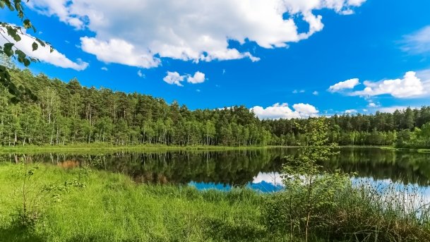 Rezerwat Przyrody Zakręt - zdjęcie 10