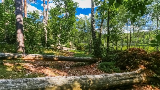 Rezerwat Przyrody Zakręt - zdjęcie 8