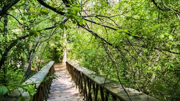 Rezerwat Przyrody Zakręt - zdjęcie 7