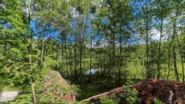 Rezerwat Przyrody Zakręt - zdjęcie 6