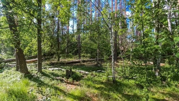 Rezerwat Przyrody Zakręt - zdjęcie 5