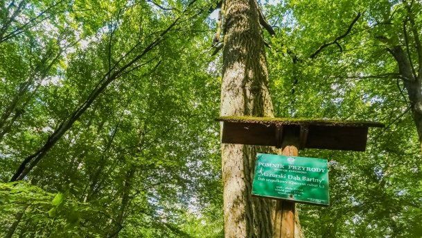 Rezerwat Przyrody Zakręt - zdjęcie 2