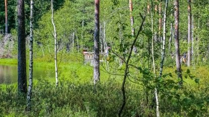 Rezerwat Przyrody Zakręt