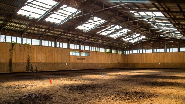 Stadnia Koni Kierzbuń - zdjęcie 36