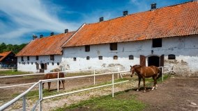 Stadnia Koni Kierzbuń