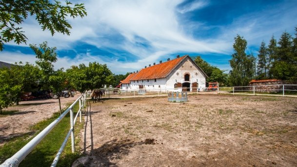 Stadnia Koni Kierzbuń - zdjęcie 31