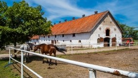 Stadnia Koni Kierzbuń