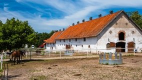 Stadnia Koni Kierzbuń