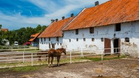 Stadnia Koni Kierzbuń