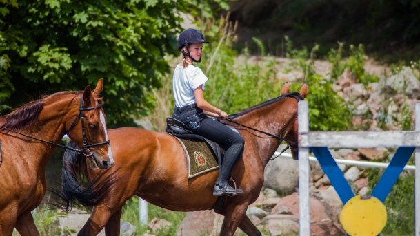 Stadnia Koni Kierzbuń - zdjęcie 20