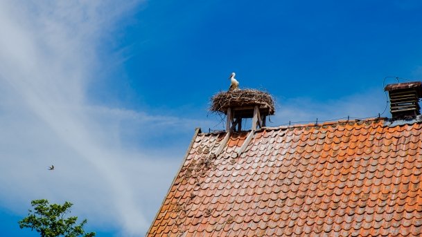 Stadnia Koni Kierzbuń - zdjęcie 14