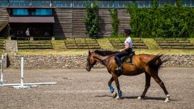 Stadnia Koni Kierzbuń