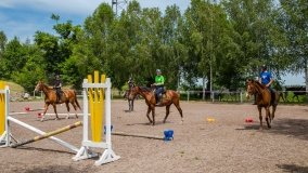 Stadnia Koni Kierzbuń