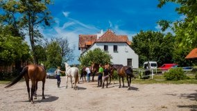 Stadnia Koni Kierzbuń