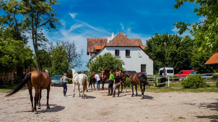 Stadnina Koni Kierzbuń - zdjęcie 1