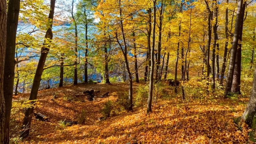 Źródełko Miłości - zdjęcie 1