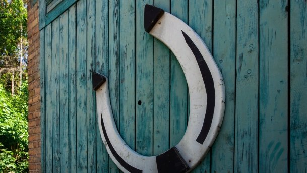 Stado Ogierów w Kętrzynie - zdjęcie 53