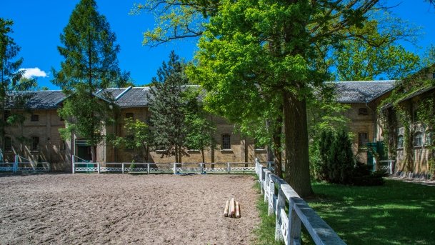 Stado Ogierów w Kętrzynie - zdjęcie 52