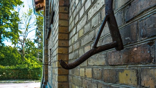 Stado Ogierów w Kętrzynie - zdjęcie 51