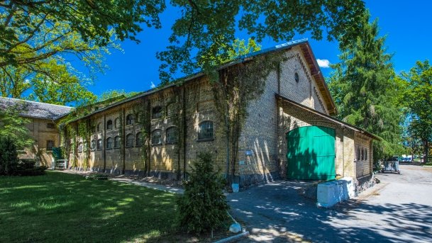 Stado Ogierów w Kętrzynie - zdjęcie 49