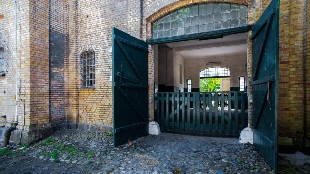 Stado Ogierów w Kętrzynie - zdjęcie 48