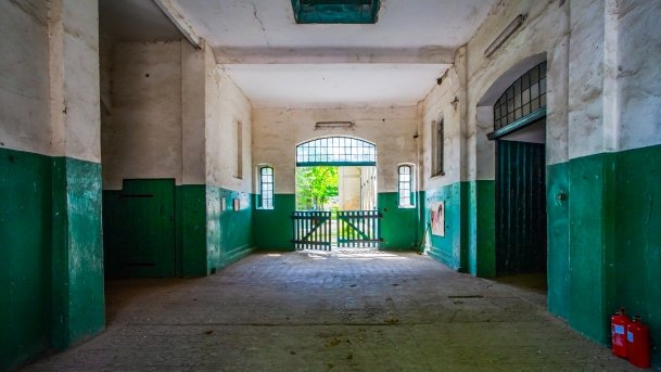 Stado Ogierów w Kętrzynie - zdjęcie 47