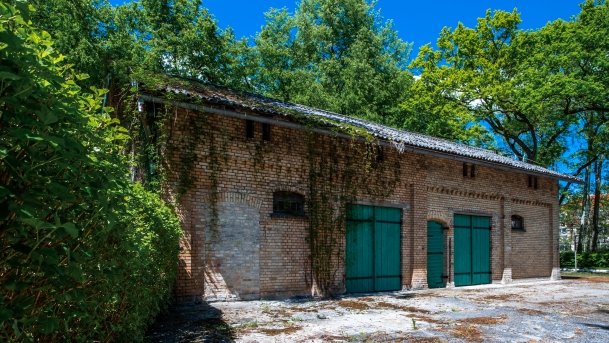 Stado Ogierów w Kętrzynie - zdjęcie 45